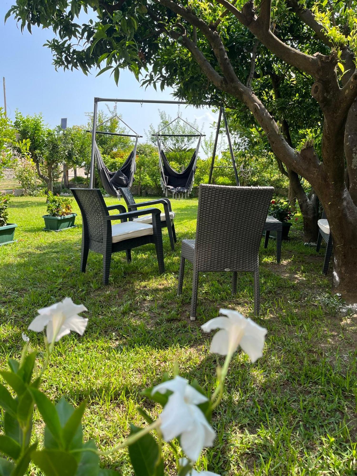 B&B Da Francesco Paestum Buitenkant foto