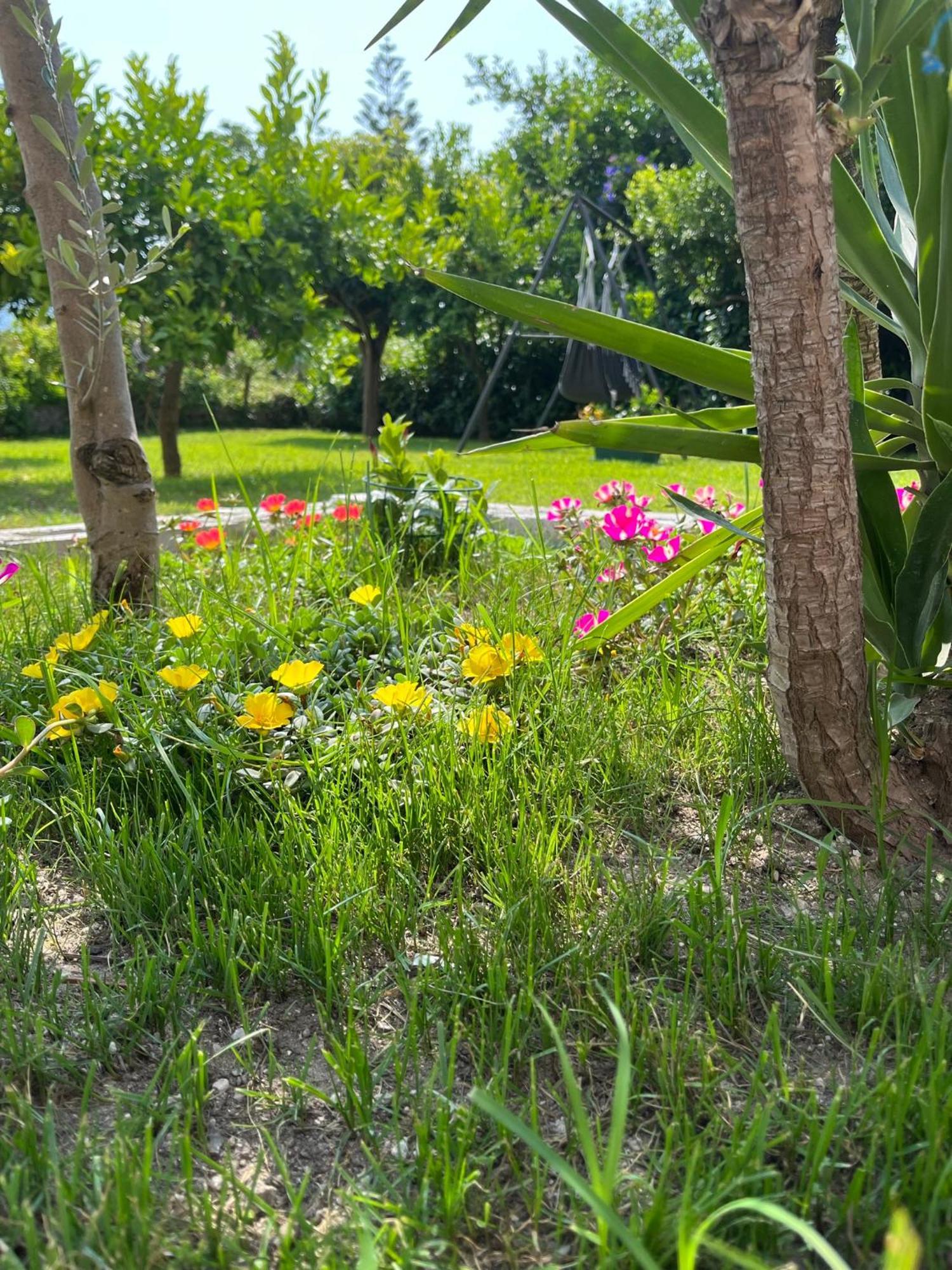 B&B Da Francesco Paestum Buitenkant foto